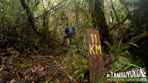 Mount Tambuyukon Expedition  